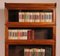 Bookcase in Mahogany from Globe Wernicke 12