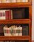 Bookcase in Mahogany from Globe Wernicke 10