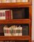 Bookcase in Mahogany from Globe Wernicke, Image 10