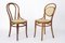 Dining Chairs No. 18 & No. 215 in Bentwood & Viennese Weaving from Thonet, Set of 2, Image 1