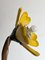 Lámpara de pie Daisy italiana, años 50, Imagen 6