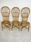 Mid-Century Chairs with Fan-Shaped Backs in Bamboo and Rattan, Italy, 1950s, Set of 3 1