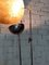 Floor Lamp from Catellani & Smith 5