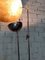 Floor Lamp from Catellani & Smith, Image 5