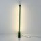 Lámpara de pie de neón verde de Gian N. Gigante para Zerbetto, años 80, Imagen 5