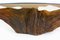 Mid-Century Tree Root Coffee Table with Glass Top, 1960s, Image 6