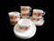 Tea or Coffee Service from Arcopal, France, 1970s, Set of 16 5