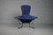 Black Bird Chair 423 by Harry Bertoia for Knoll International, 1970s 7