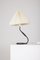 Table Lamp from Rhodoïde 10