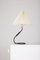 Table Lamp from Rhodoïde, Image 4