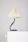 Table Lamp from Rhodoïde 8