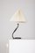 Table Lamp from Rhodoïde, Image 8