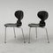 Model 3100 Chair by Arne Jacobsen for Fritz Hansen, 1952 3