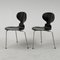 Sedia modello 3100 di Arne Jacobsens per Fritz Hansen, 1952, Immagine 3
