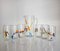 Bicchieri Joyful Collection di Maryana Iskra per Ribes the Art of Glass, set di 7, Immagine 7