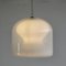 Large Pendant by Carlo Nason for Vistosi, 1960s 3