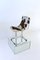 Calla Chair by Antonio Ari Colombo for Arflex 6