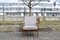 Fauteuil Mid-Century en Noyer de Knoll Antimott, 1960s 5