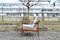 Mid-Century Sessel aus Nussholz von Knoll Antimott, 1960er 10