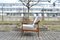 Mid-Century Walnut Easy Chair from Knoll Antimott, 1960s, Image 10