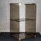 Cabinet in Smoked Tempered Glass and Brass-Plated Metal with Mirror by Pierangelo Gallotti for Gallotti e Radice, 1970s 3