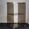 Cabinet in Smoked Tempered Glass and Brass-Plated Metal with Mirror by Pierangelo Gallotti for Gallotti e Radice, 1970s, Image 3