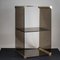 Cabinet in Smoked Tempered Glass and Brass-Plated Metal with Mirror by Pierangelo Gallotti for Gallotti e Radice, 1970s 1