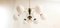 Sputnik Ceiling Light with White Spheres 12