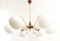 Sputnik Brass and Glass 6-Light Chandelier, Image 14