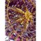 Lámpara de araña en violeta de cristal de Murano Poliedri de Simoeng, Imagen 2