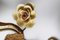 Lampada da parete Hollywood Regency dorata con rose in porcellana, anni '60, set di 2, Immagine 12