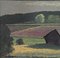 Luce di paesaggio, dipinto a olio, anni '50, con cornice, Immagine 11