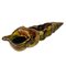 Mid-Century French Majolica Shell Sculpture in Ceramic, 1950s, Image 8