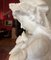 Artiste Italien, Buste Sculpté à la Main d'une Jeune Fille Tenant une Colombe, 19ème Siècle, Albâtre 8