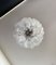 Lámpara de araña italiana grande en espiral de cristal de Murano, años 90, Imagen 20