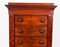 Antique George IV Mahogany Wellington Chest, 1830 4