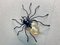 Mid-Century Italian Modern Metal and Glass Spider Wall Lamp, 1950s 4