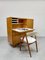 Bureau Secrétaire CB01 Vintage par Cees Braakman pour Pastoe, Pays-Bas, 1950s 3