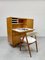 Vintage Dutch Cabinet Desk Secretary CB01 by Cees Braakman for Pastoe, 1950s 3