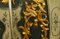 Bemalte Türen von William Morris, 1890er, 2er Set 5