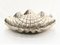 Large Silver-Plated Clam Shell Dish 2
