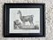 Biedermeier Artist, The Llama, 1831, Lithograph, Framed 1