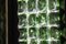 Lampade da parete in vetro di Murano verde, 2000, set di 2, Immagine 12