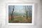 Huile sur Toile Basil Garsed, Paysage, Ruislip Woods, 1990s 1
