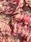 Tappeto moderno rosa in lana berbera marocchina intrecciata a mano, Immagine 8