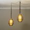 Vintage Bamboo Suspension Lamps, 1960s, Set of 2 1