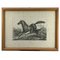 Luigi Giarré, Breeds of Horses Known in Europe, 1822, Lithographs, Framed, Set of 9 5