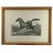 Luigi Giarré, Breeds of Horses Known in Europe, 1822, Lithographs, Framed, Set of 9, Image 5