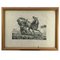 Luigi Giarré, Breeds of Horses Known in Europe, 1822, Lithographies, Encadrées, Set de 9 6