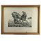 Luigi Giarré, In Europa bekannte Pferderassen, 1822, Lithographien, Gerahmt, 9 . Set 6